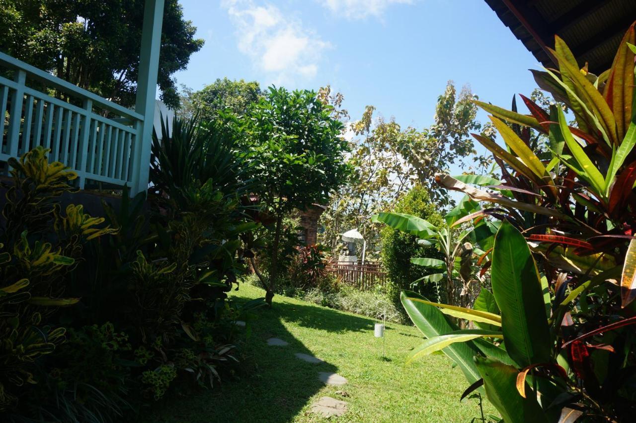 Manggis Garden Dive 3* Candi Dasa (Bali)