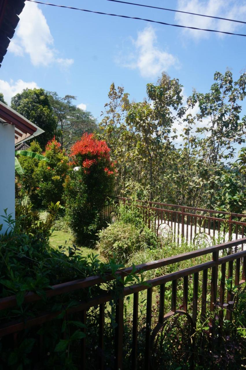 Manggis Garden Dive 3*