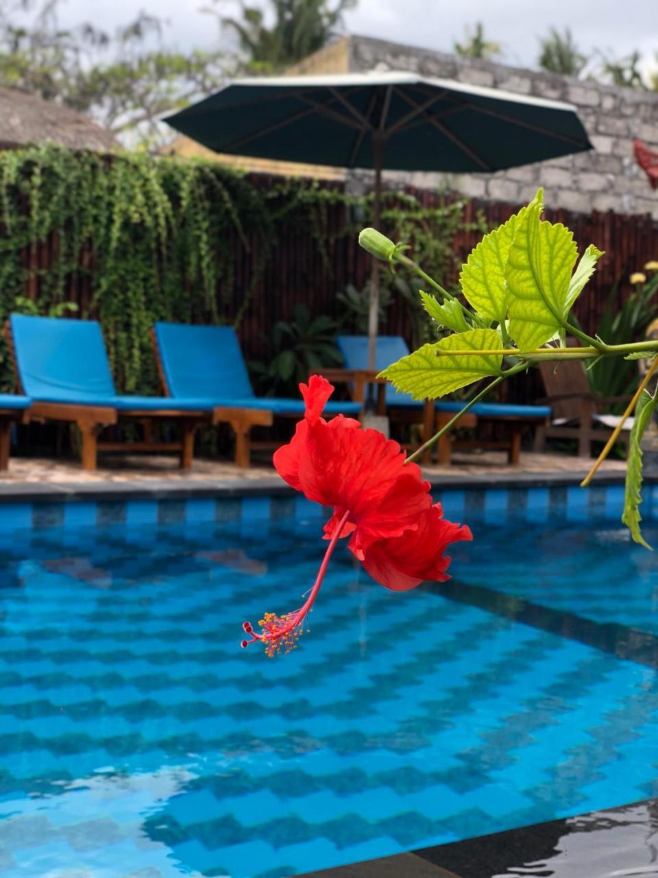 Tropical Holiday park Nusa Lembongan (Bali)