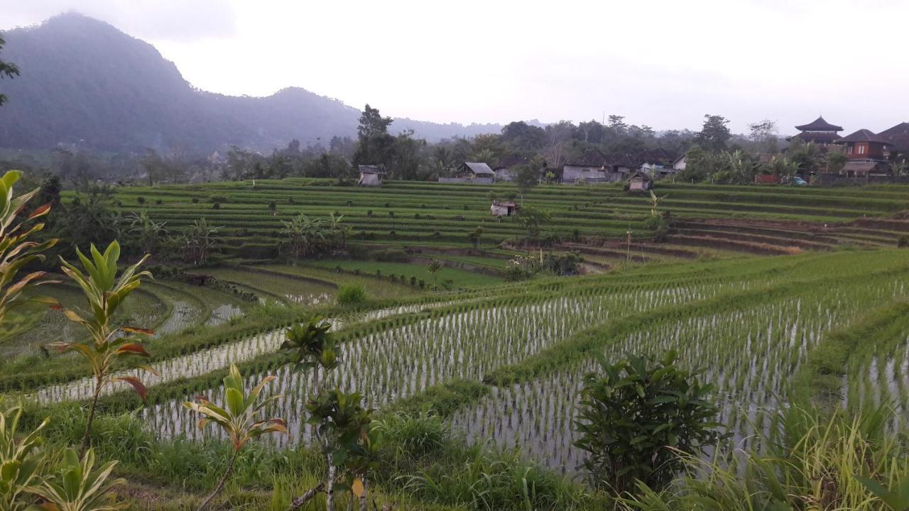 Kubu Taru Guest house Sidemen (Bali)