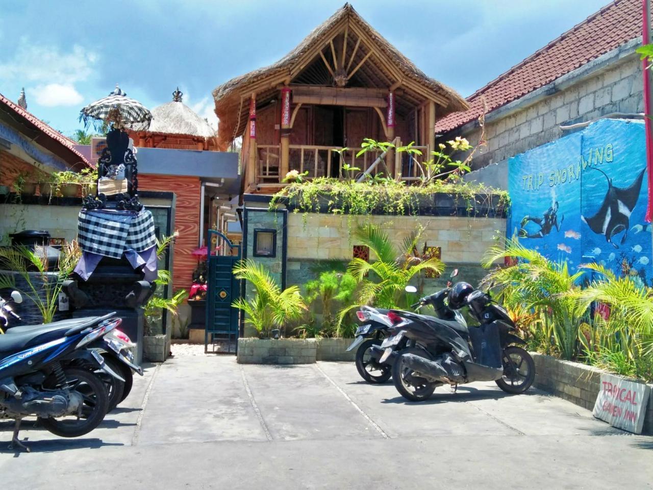 Tropical Garden 2*