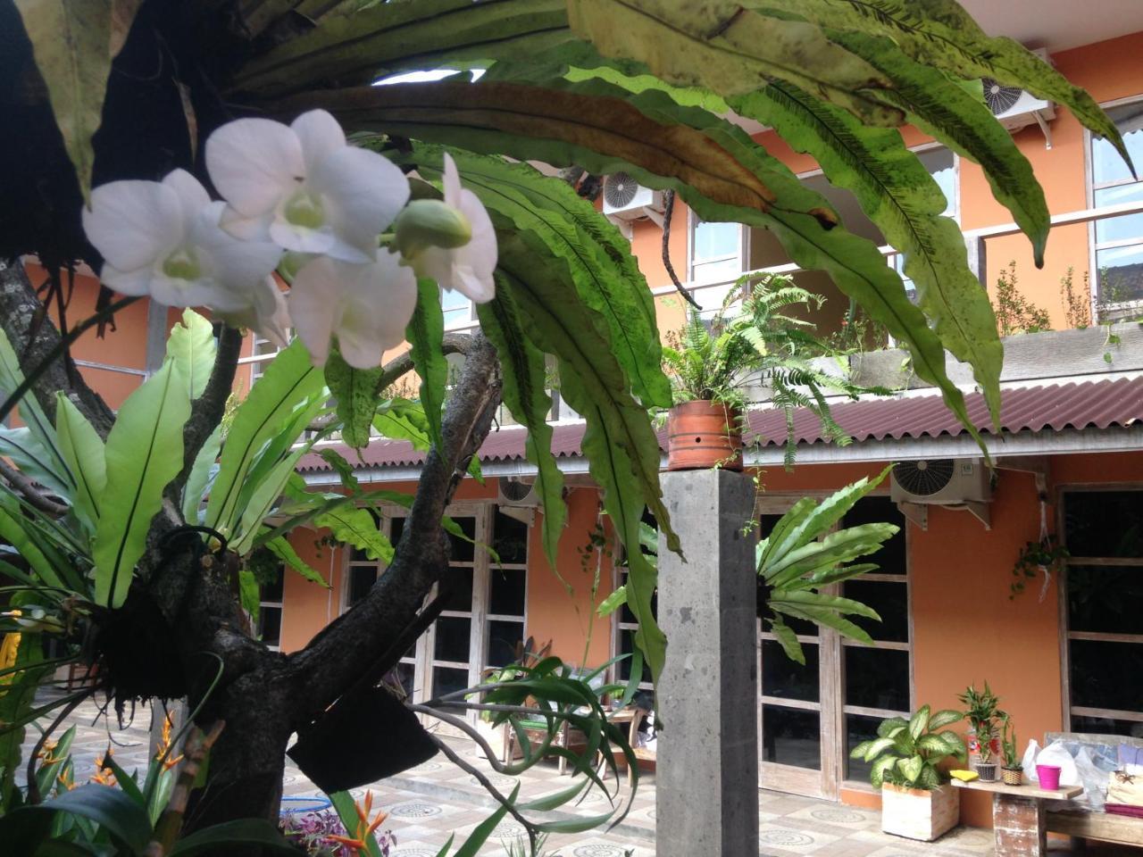 Pinpoint Guest house