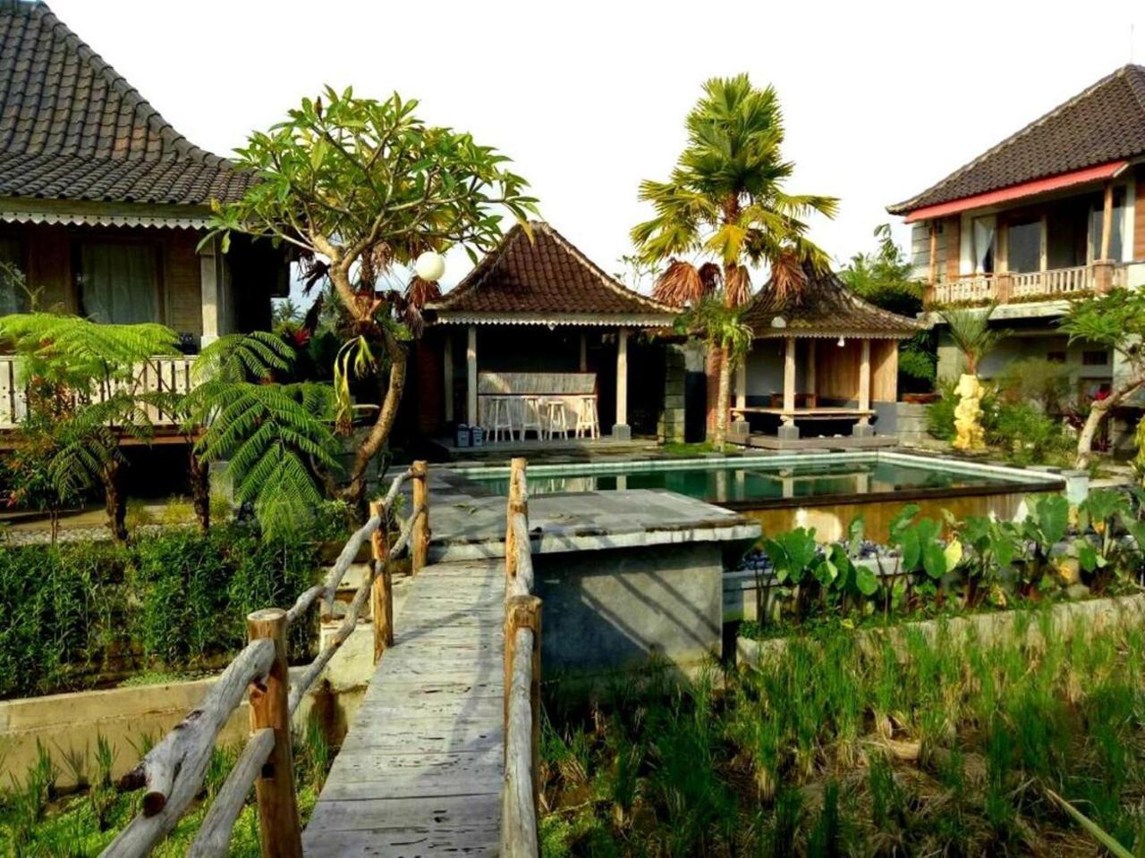Uma Caming & Gym Guest house Tegallalang (Bali)