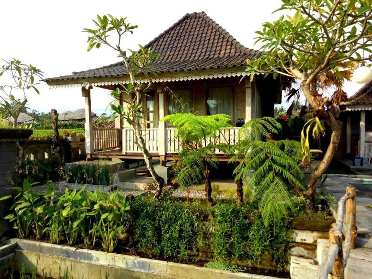 Uma Caming & Gym Guest house Tegallalang (Bali)