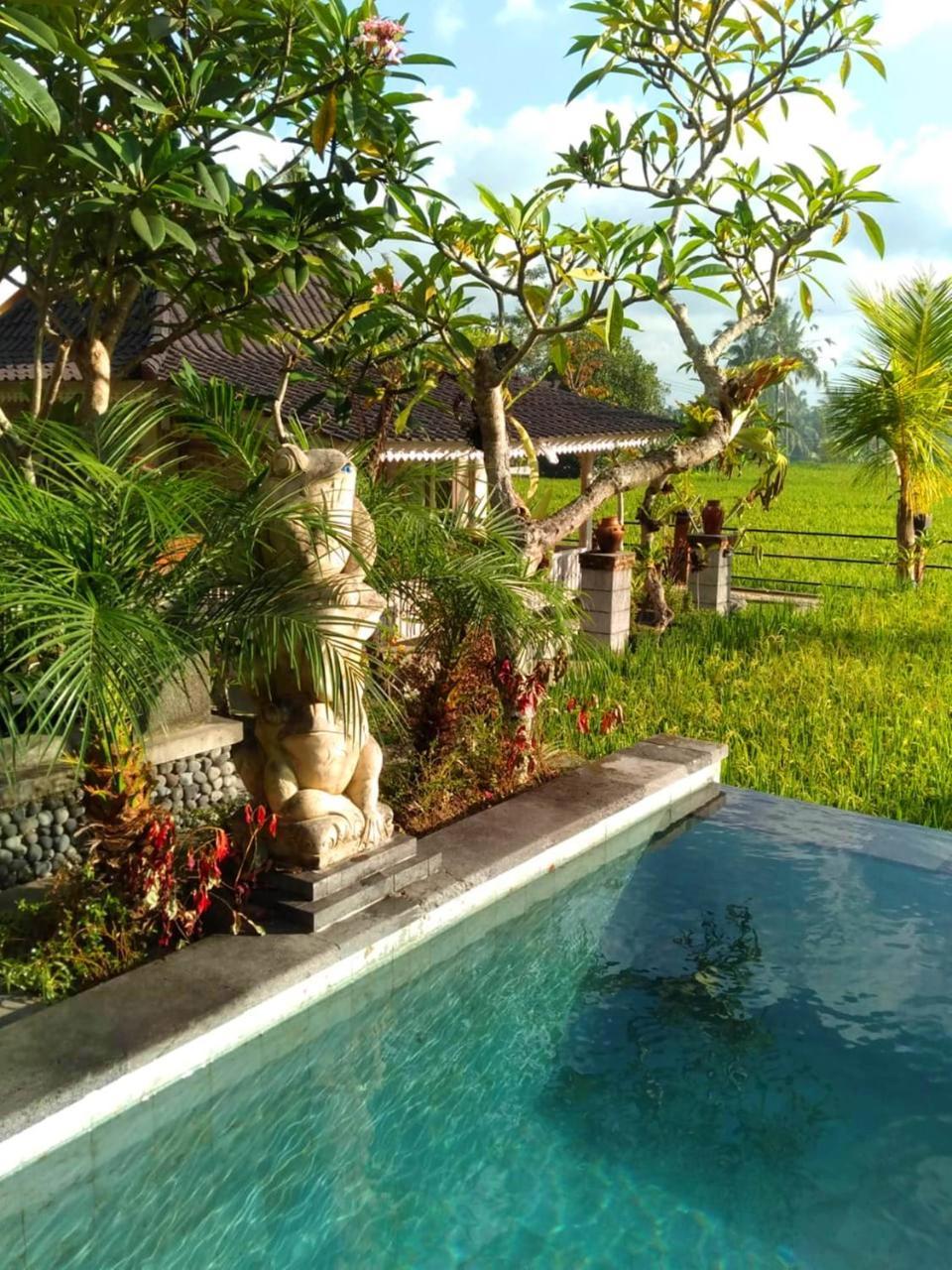 Uma Caming & Gym 4* Tegallalang (Bali)