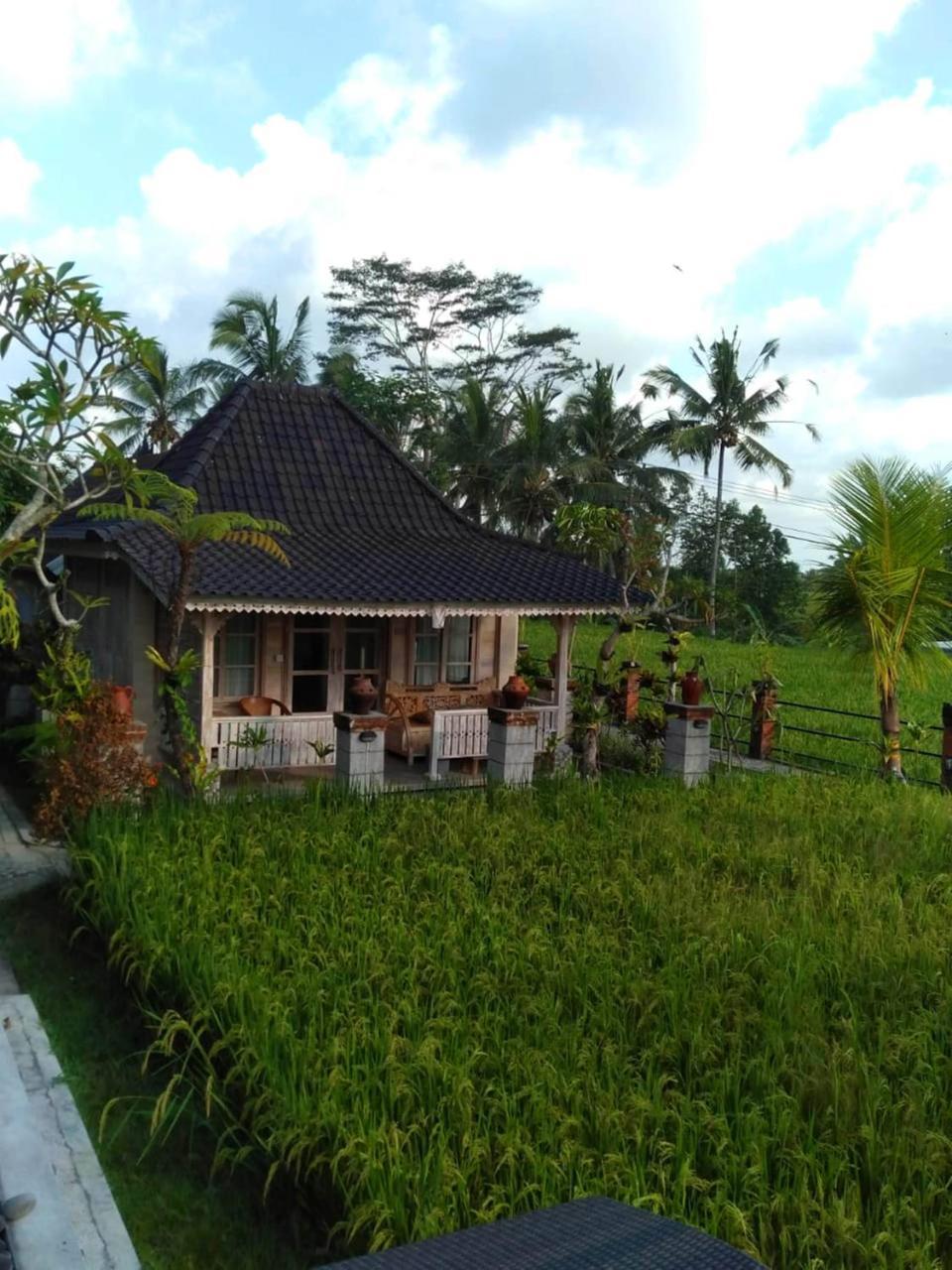 Guest house Uma Caming & Gym 4*