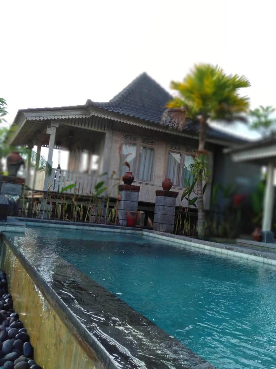 Uma Caming & Gym Guest house Tegallalang (Bali)