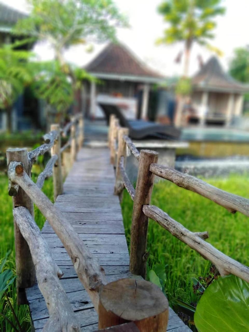 Uma Caming & Gym Guest house 4*