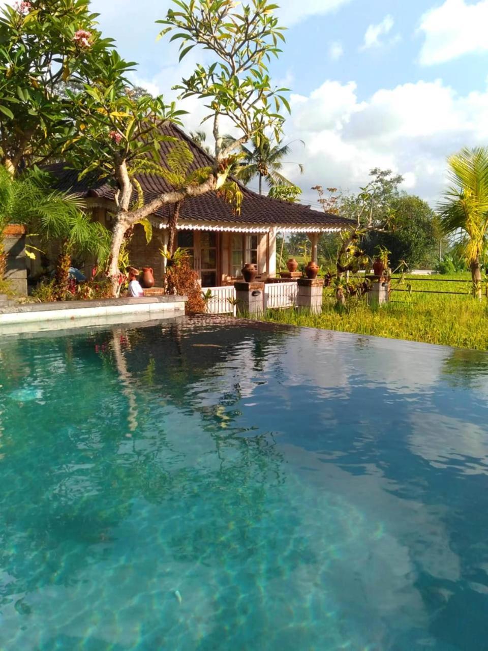 Guest house Uma Caming & Gym Tegallalang (Bali)
