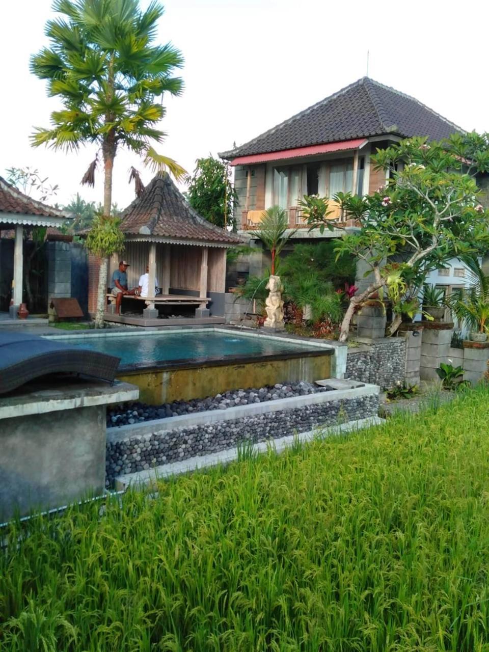Guest house Uma Caming & Gym Tegallalang (Bali)