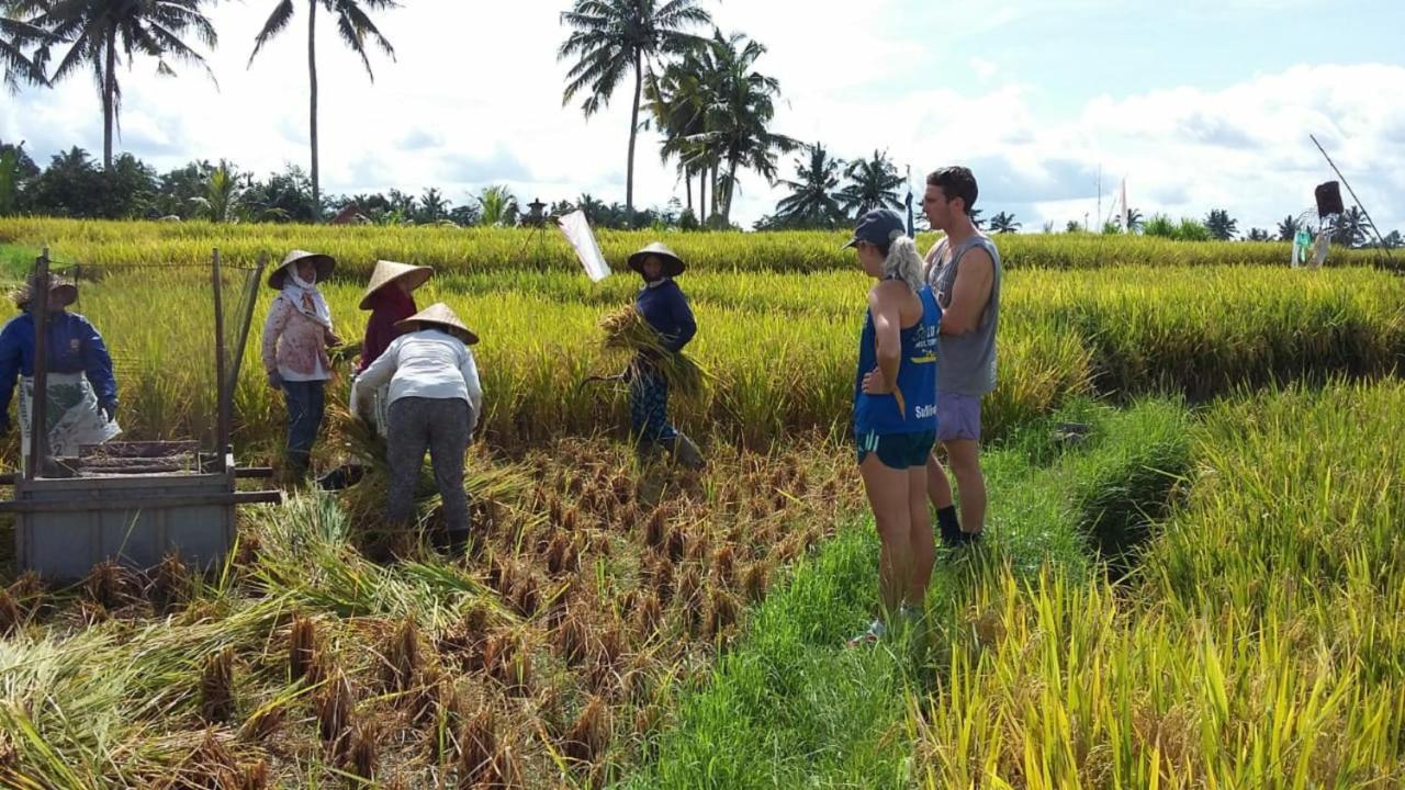 Uma Caming & Gym Tegallalang (Bali)