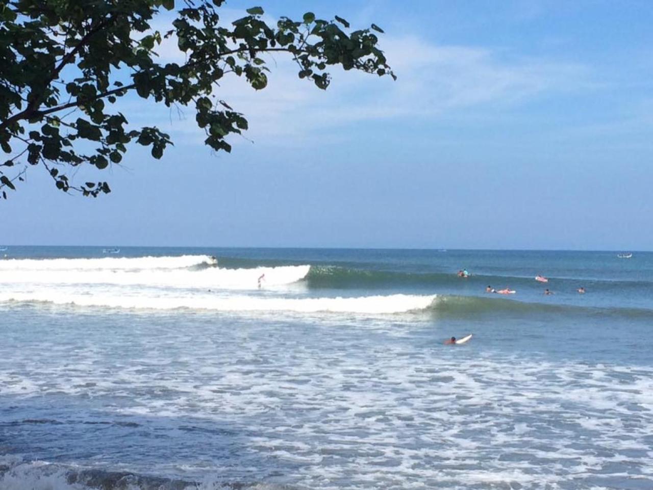 Guest house Medewi Surf