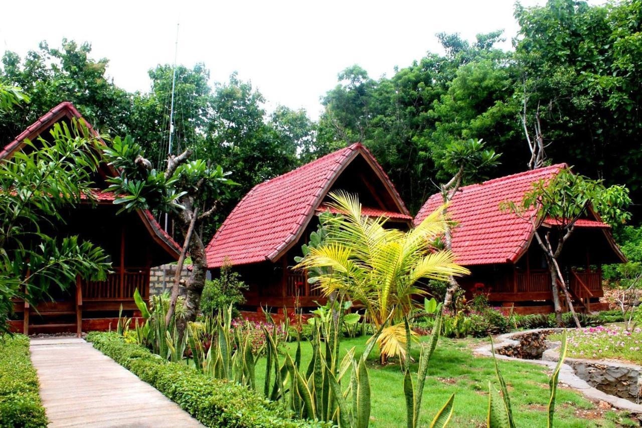 Beautiful House