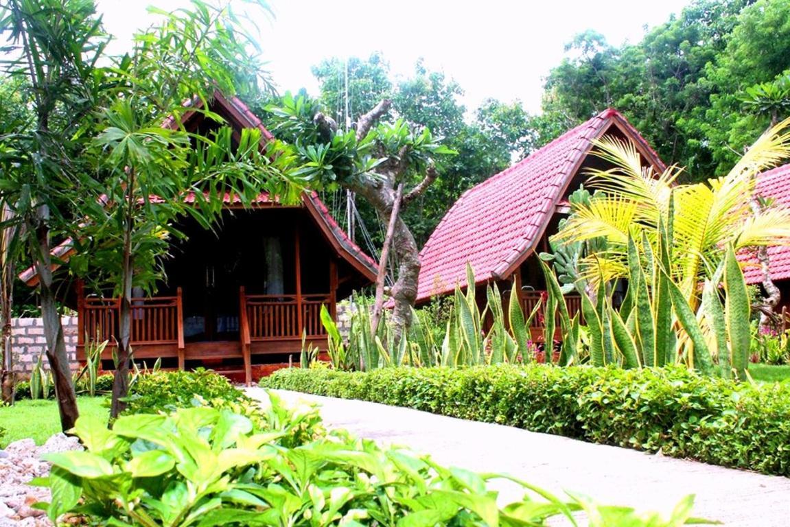 Beautiful House 2*