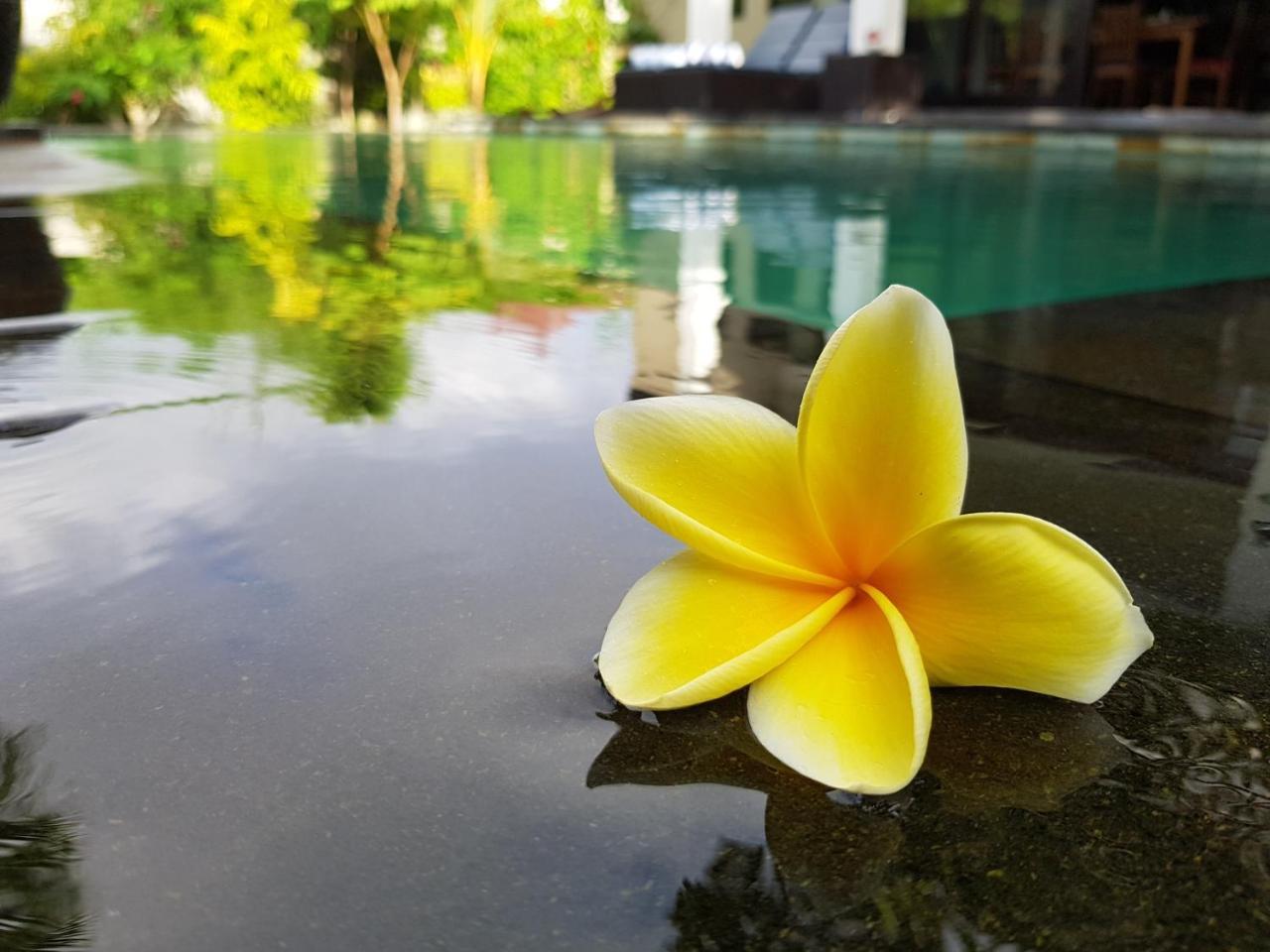 Villa Horizon Nusa Dua *