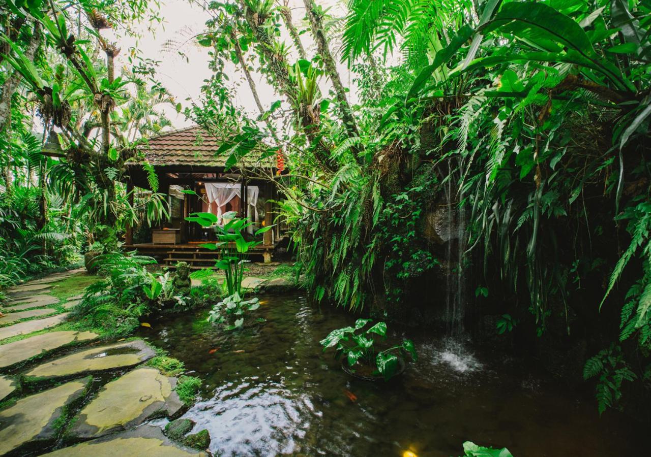 Homestay Heaven In Bali Penginyahan