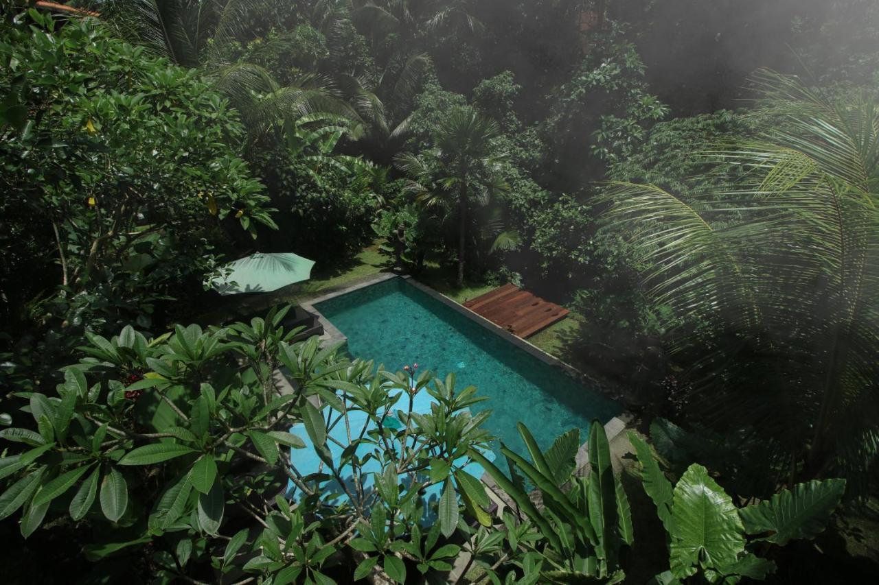 Sunshine Guest house Ubud (Bali)