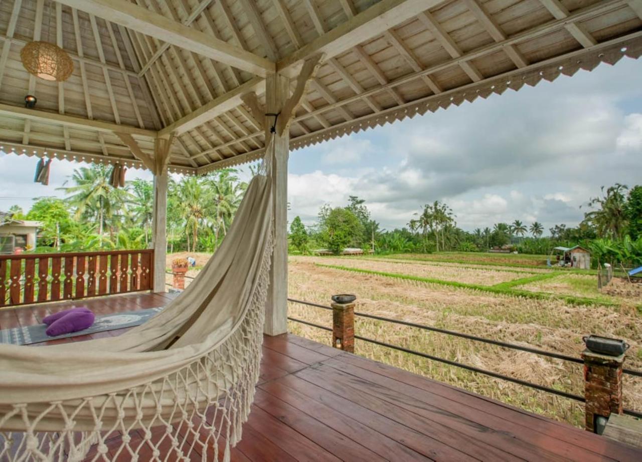 Uma Caming & Gym Guest house Tegallalang (Bali)