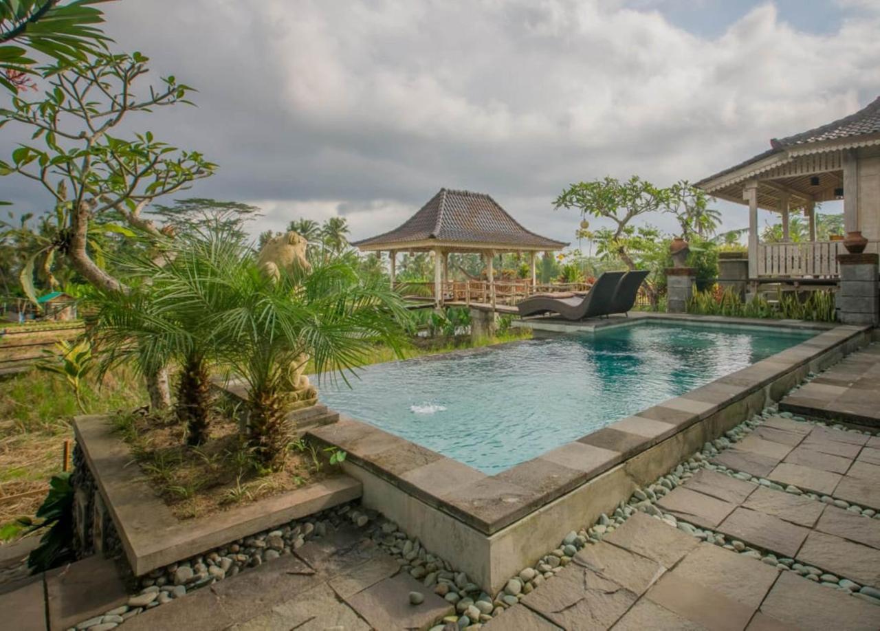 Guest house Uma Caming & Gym 4*