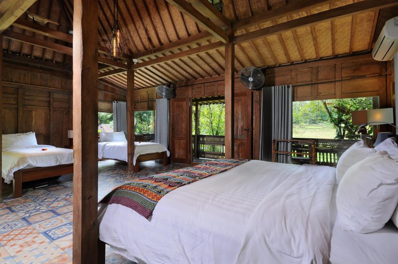 Bali Lush Bed & Breakfast Selemadeg (Bali)