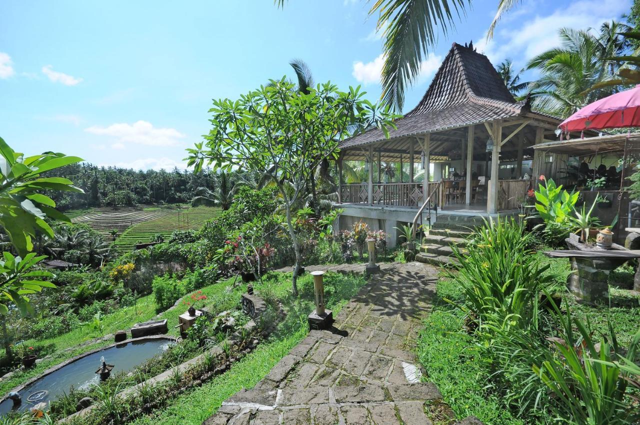 Bali Lush Selemadeg (Bali)