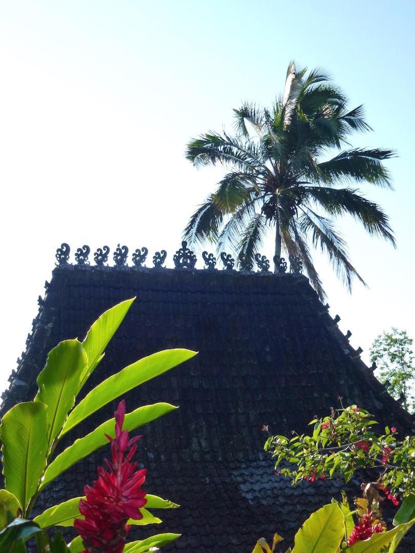 Bali Mountain Retreat *