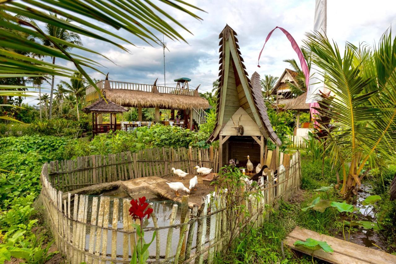 The Rice Joglo Eco-stay