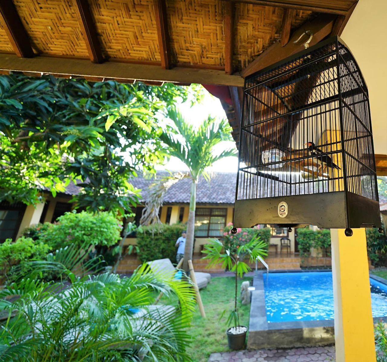 Guest house Mangga 3*