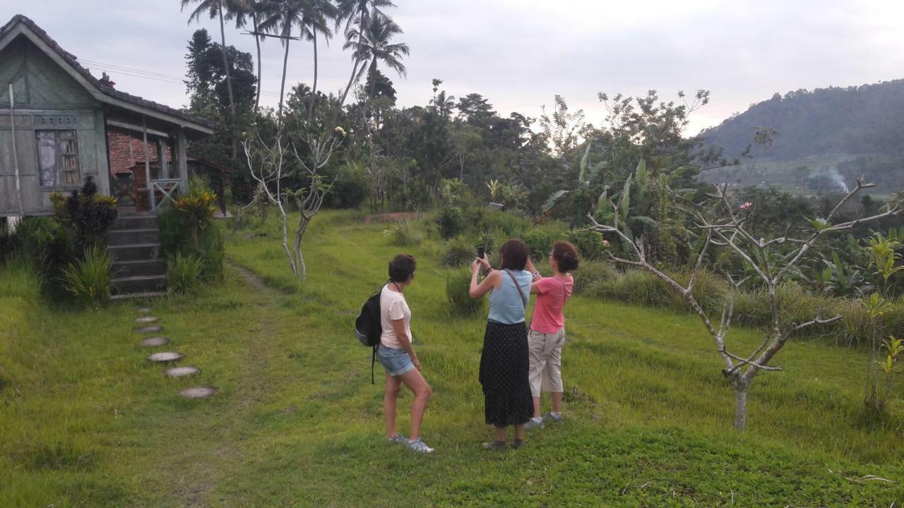 Guest house Kubu Taru 2*