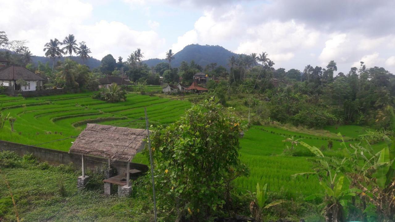 Guest house Kubu Taru