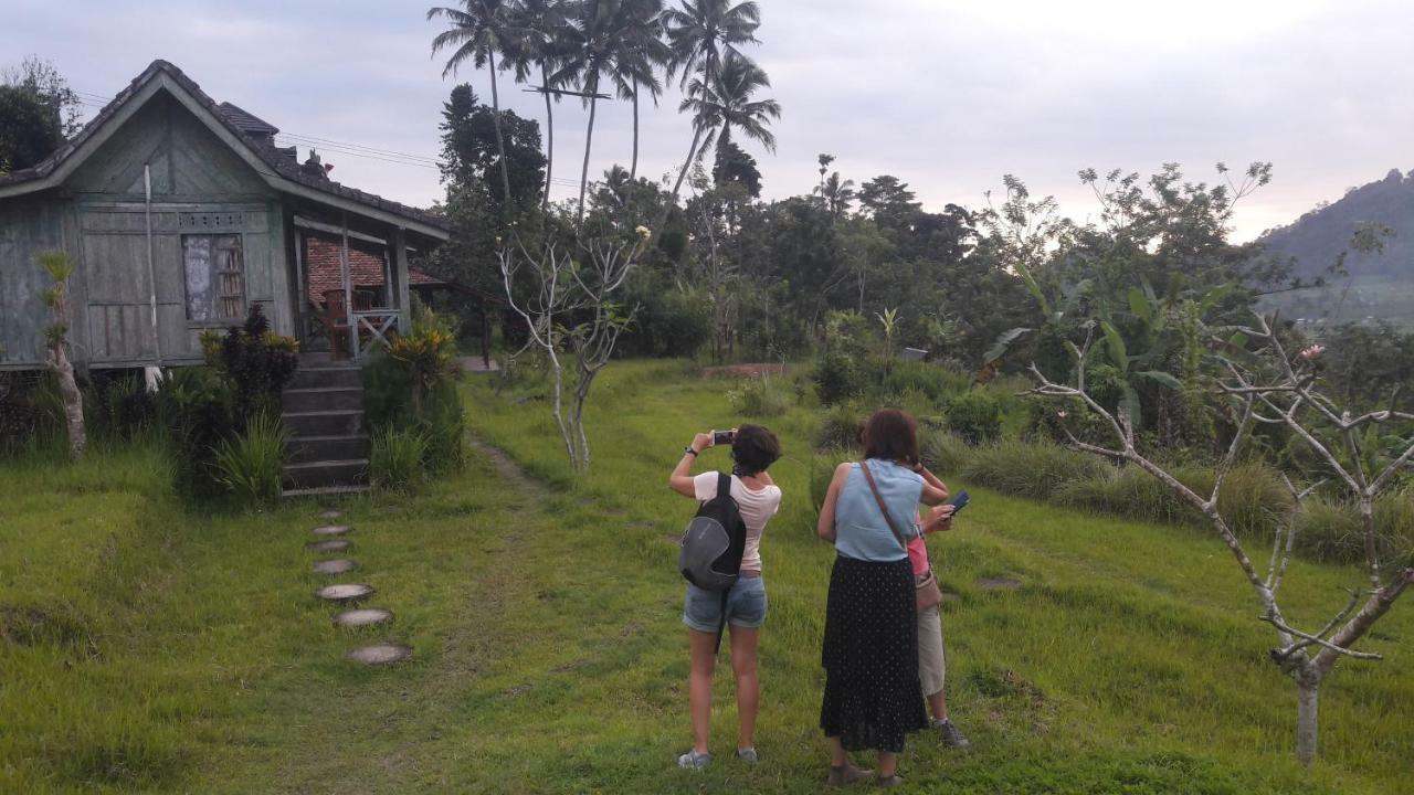 Kubu Taru Guest house