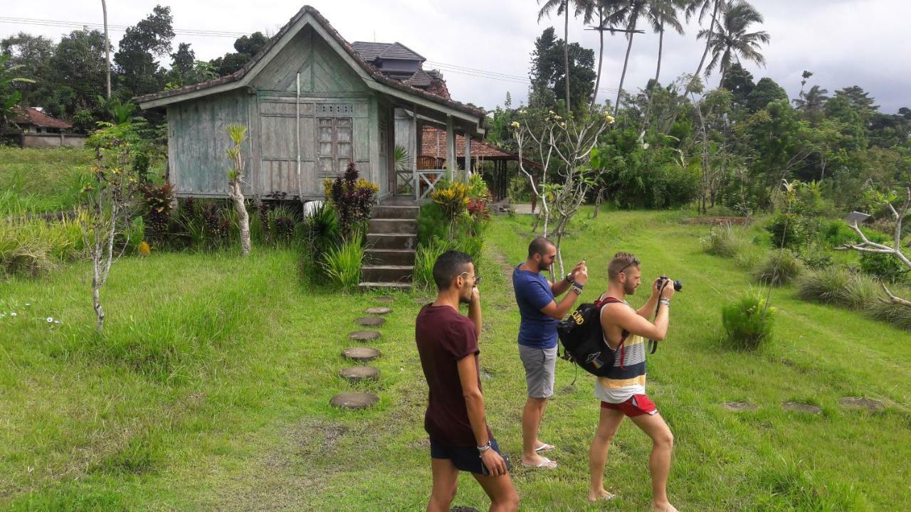 Guest house Kubu Taru Sidemen (Bali)