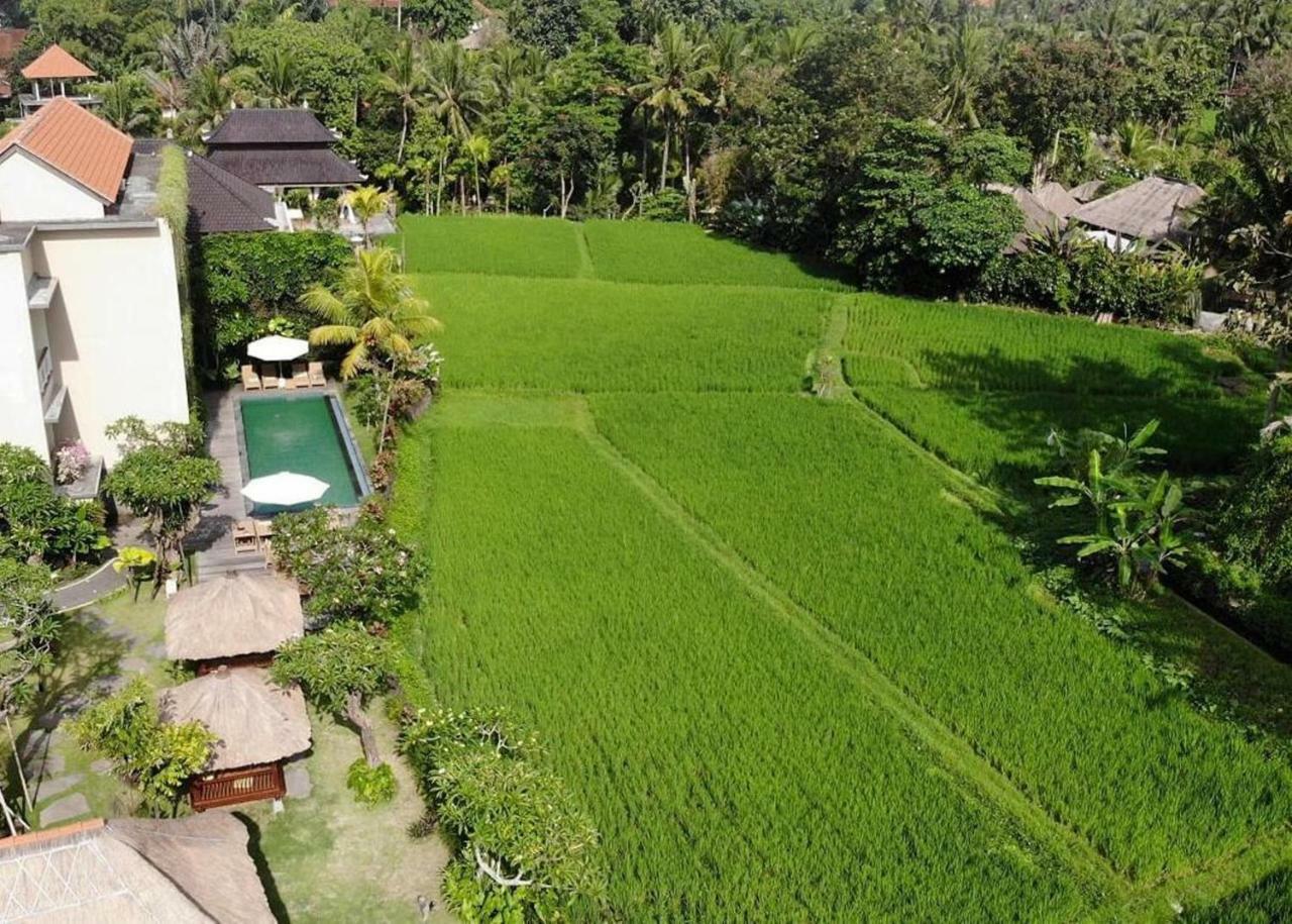 Byasa Guest house Ubud (Bali)
