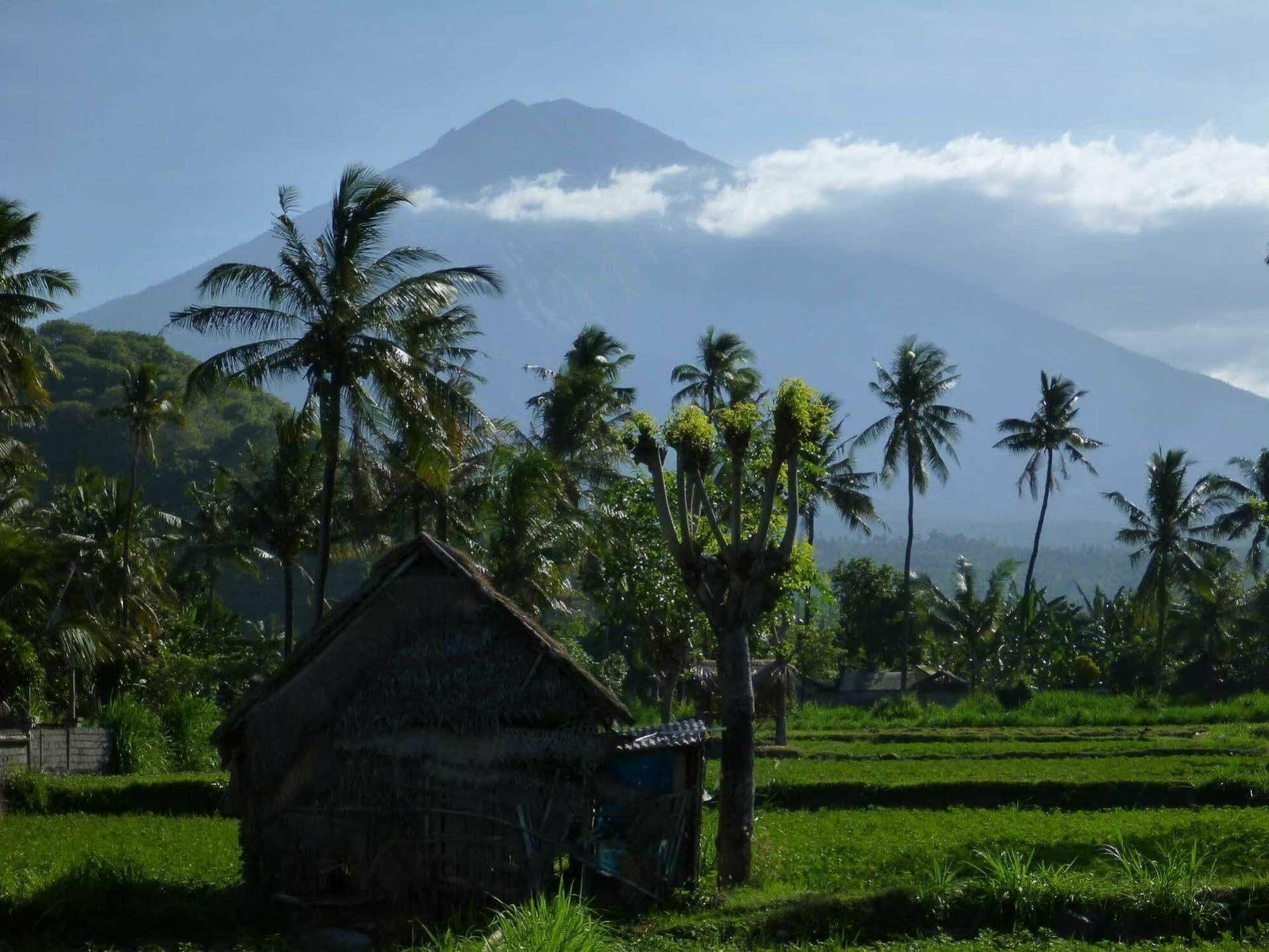 Bali Fab Dive Center Hostel