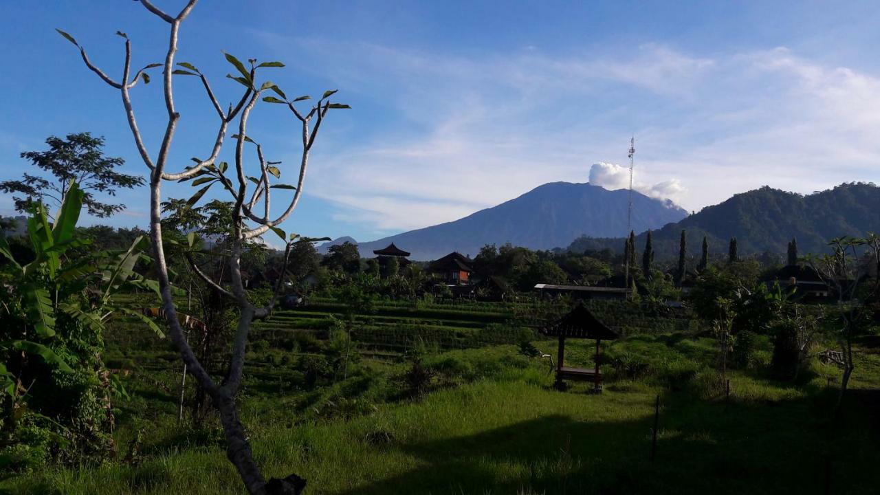 Guest house Kubu Taru