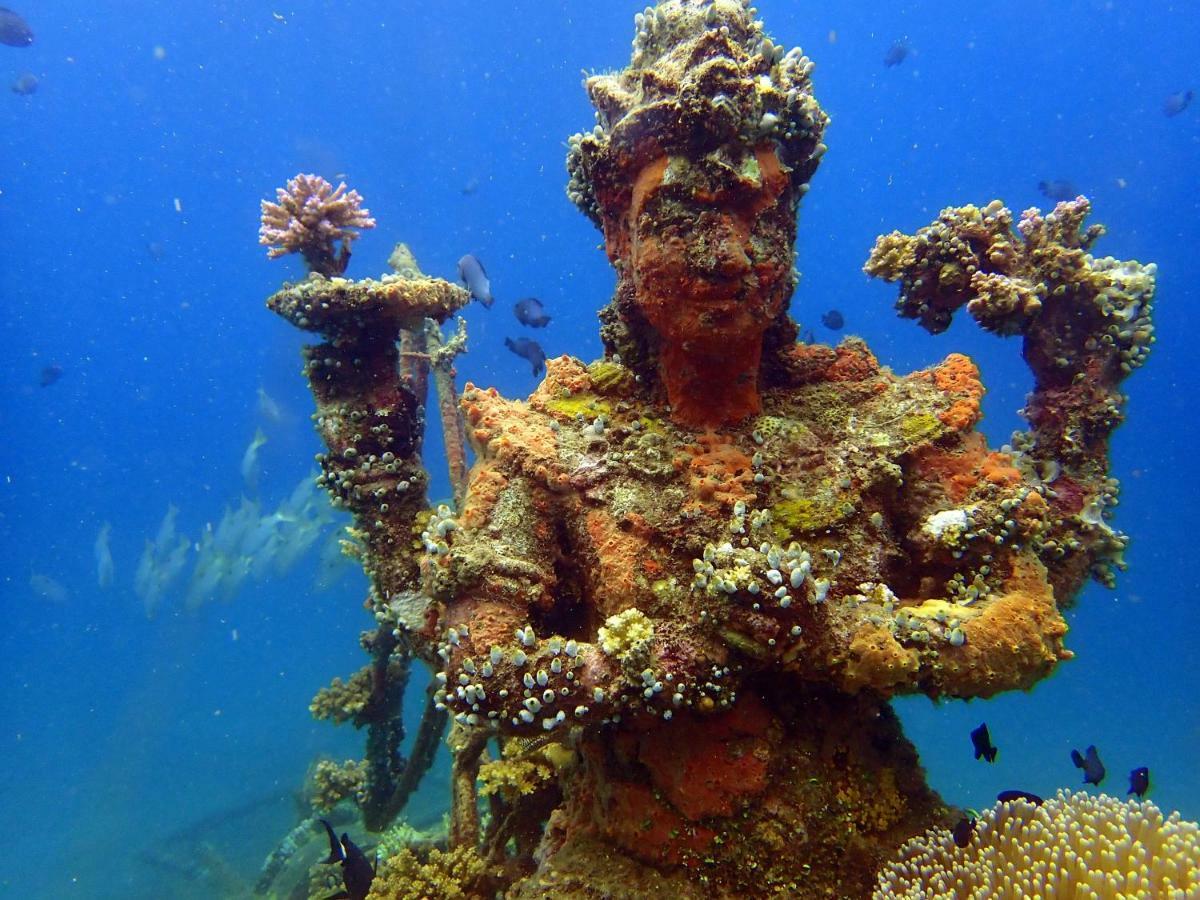 Biorock & Dive Center *