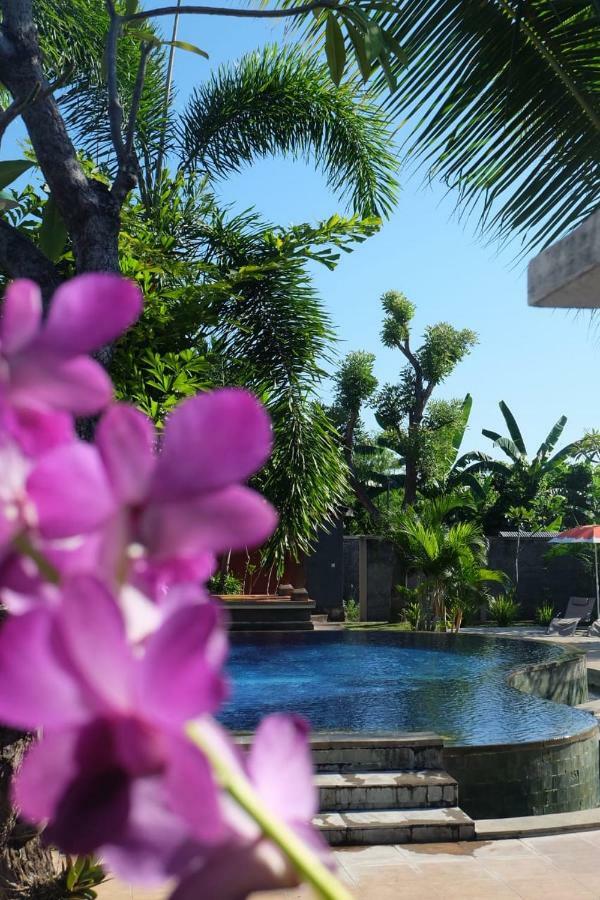 Prabhu Lovina (Bali)