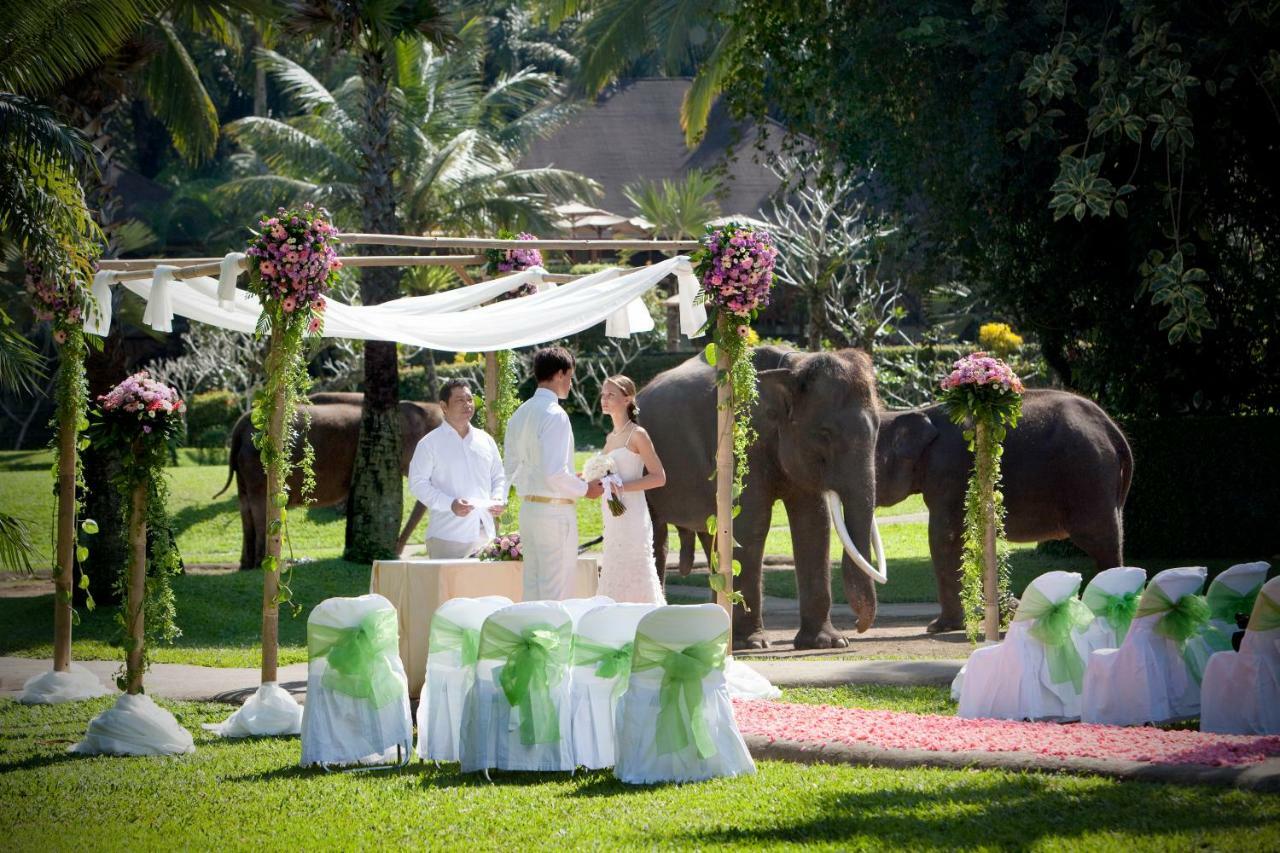 Mason Elephant Holiday park 5*