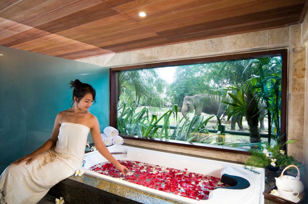 Mason Elephant Ubud (Bali)