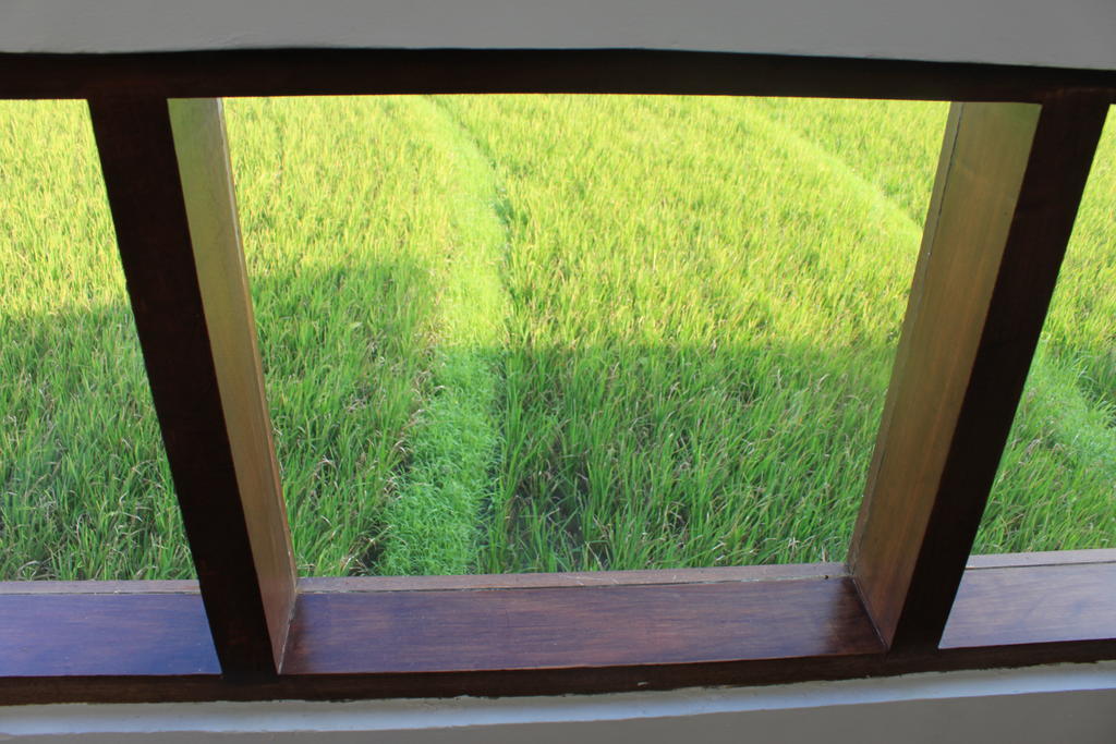 Apartment Club Luxury Canggu