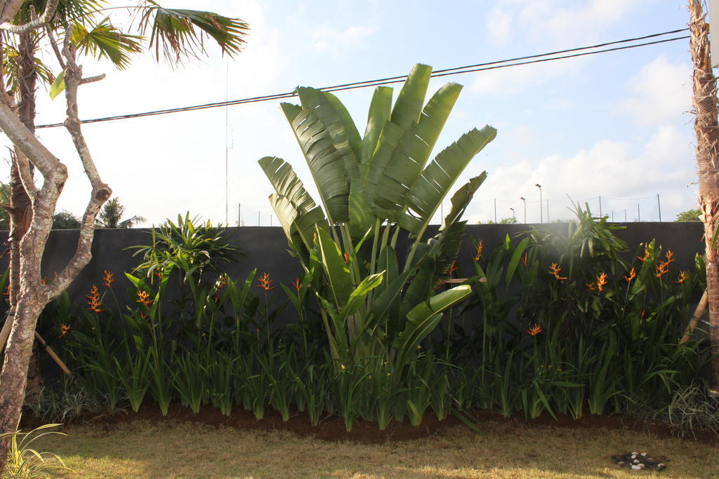 Apartment Club Luxury Canggu *
