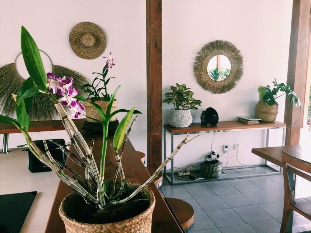 Manik * Canggu (Bali)