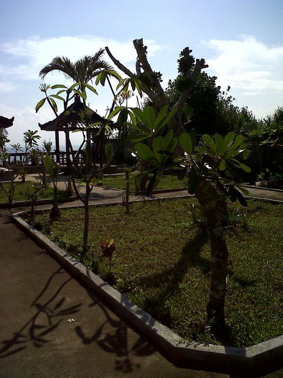 Guest house Dodol Lembongan Cliff Sunset