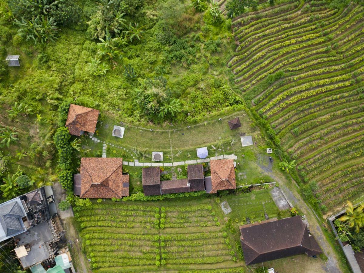 Guest house Kubu Taru