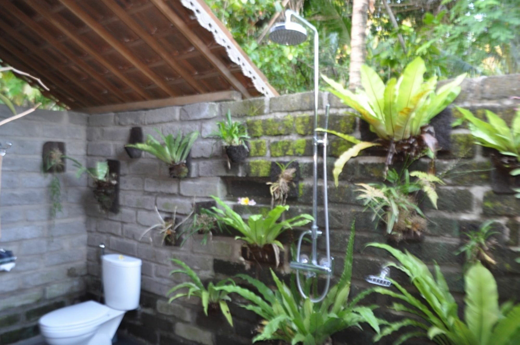 Bali Lush Bed & Breakfast