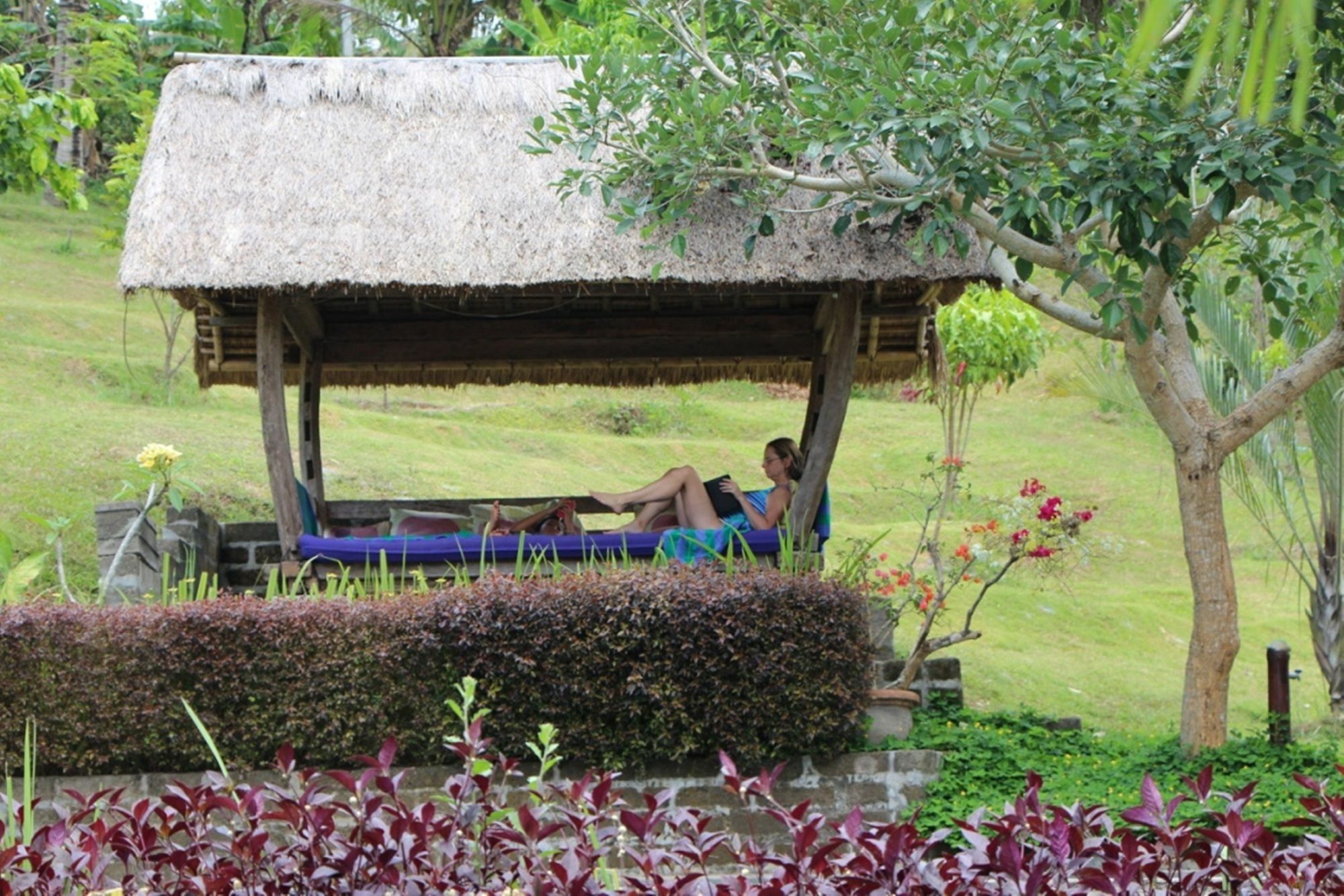 Bali Lush Bed & Breakfast Selemadeg (Bali)