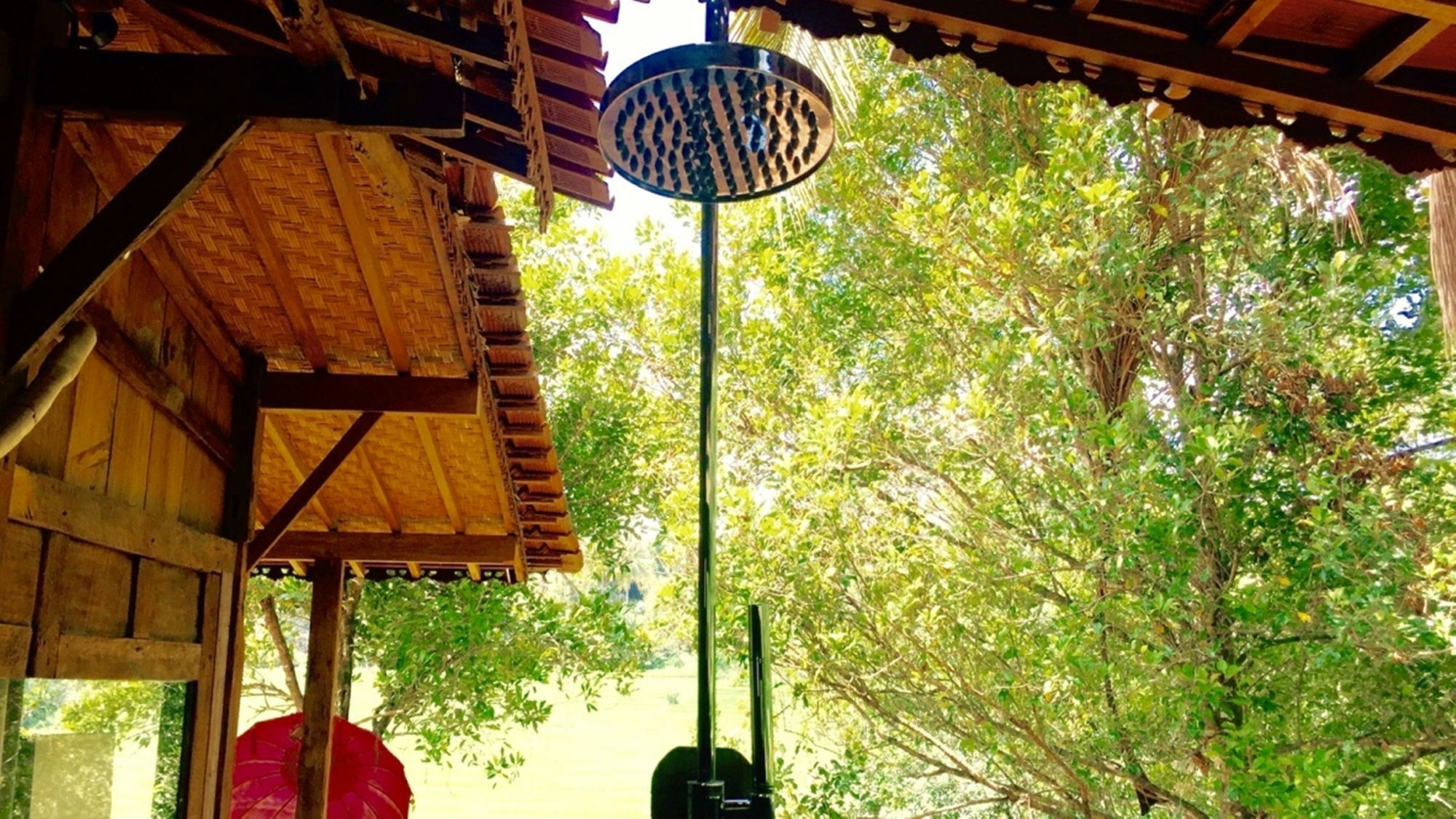 Bed & Breakfast Bali Lush