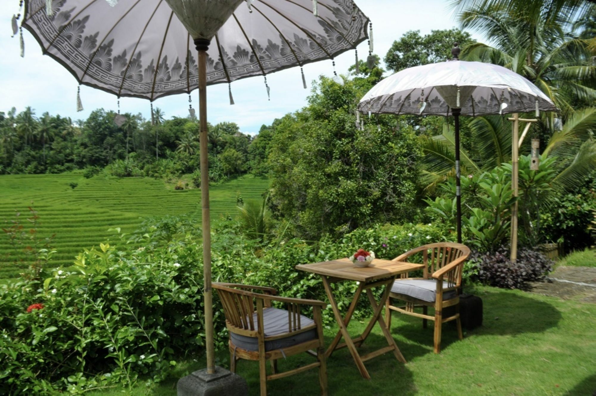 Bali Lush 3*