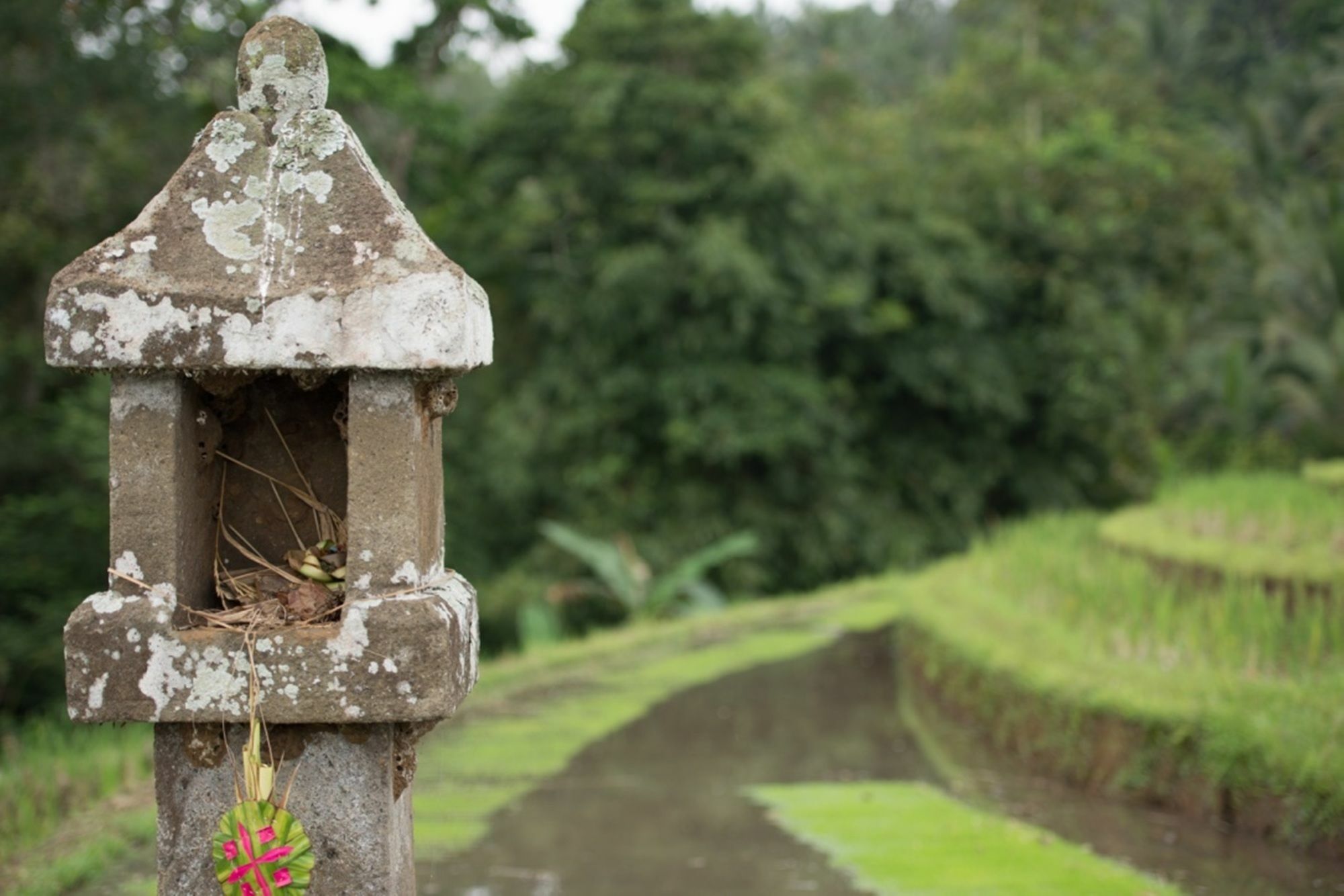 Bed & Breakfast Bali Lush Selemadeg (Bali)