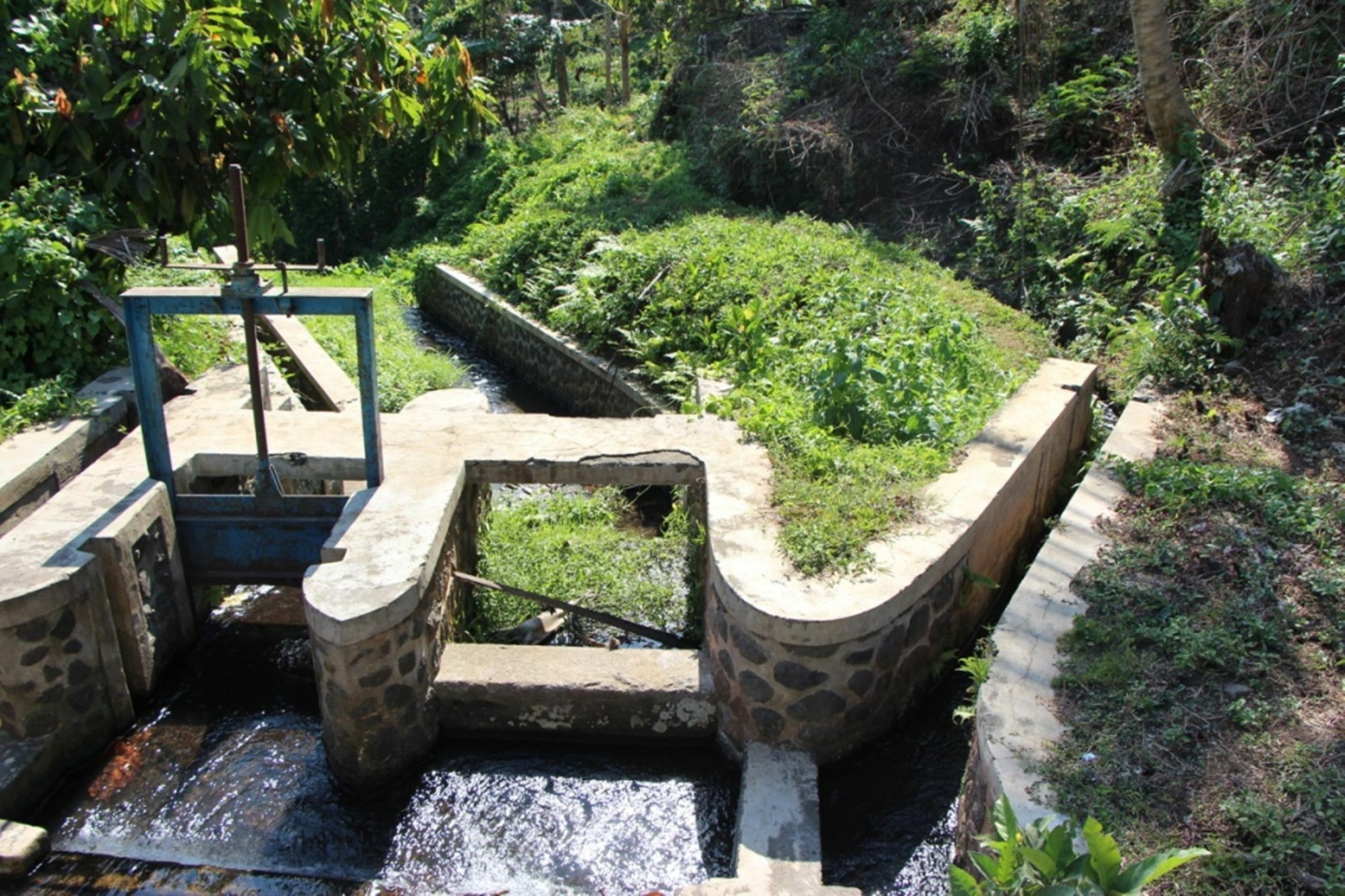 Bali Lush Bed & Breakfast Selemadeg (Bali)